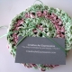 Red Pink Green Crocheted Christmas Coasters Red Pink Green Crocheted Christmas Coasters