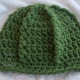 Bulky Ribbed Slouchy Hat in Grass Green