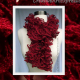 Knit Ruby Red Glam Ruffle Scarf