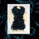 Knitted Peacock Ruffle Scarf