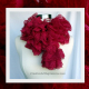 Knit Red Lace Ruffle Scarf