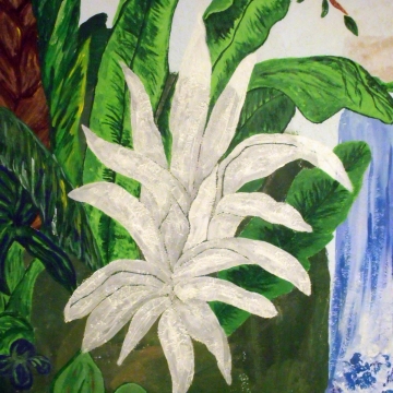 dscf9865.jpg dscf9865.jpg